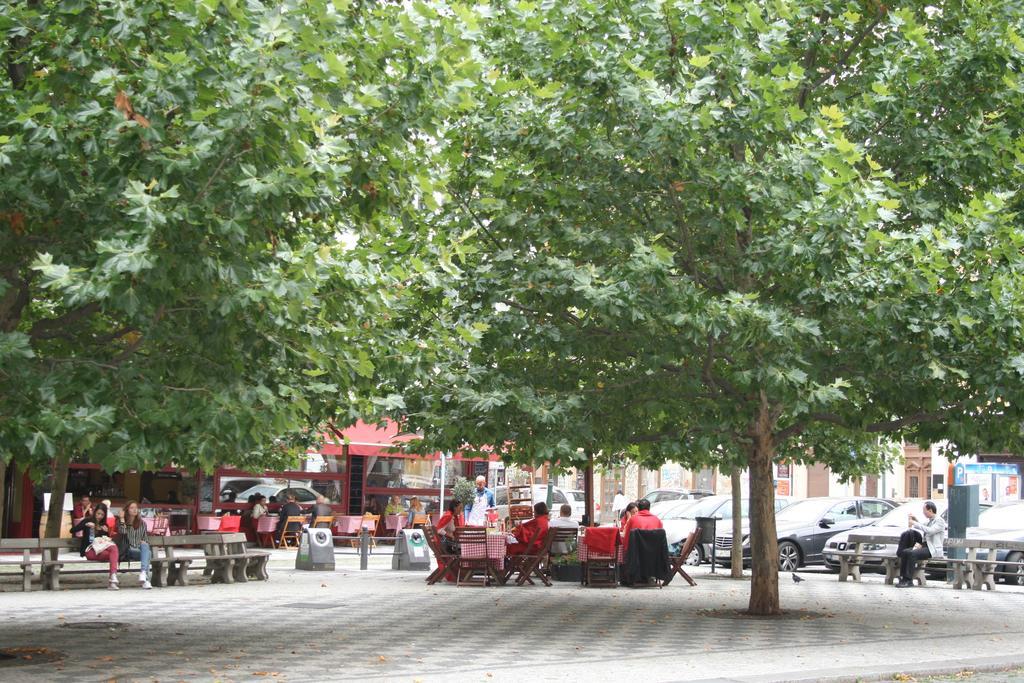 Apartment Sophia Praha Rom bilde